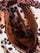 Arcadia - Twill Print / Leopard