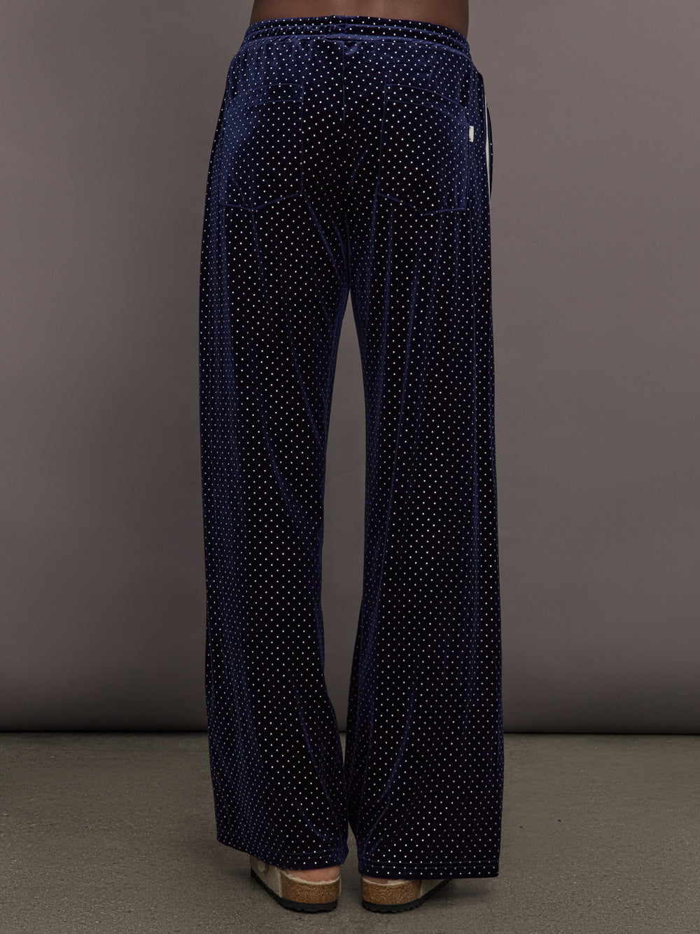 Model is wearing Velour High-Waisted Wide-Leg Pant in Polka Dot, back view.
